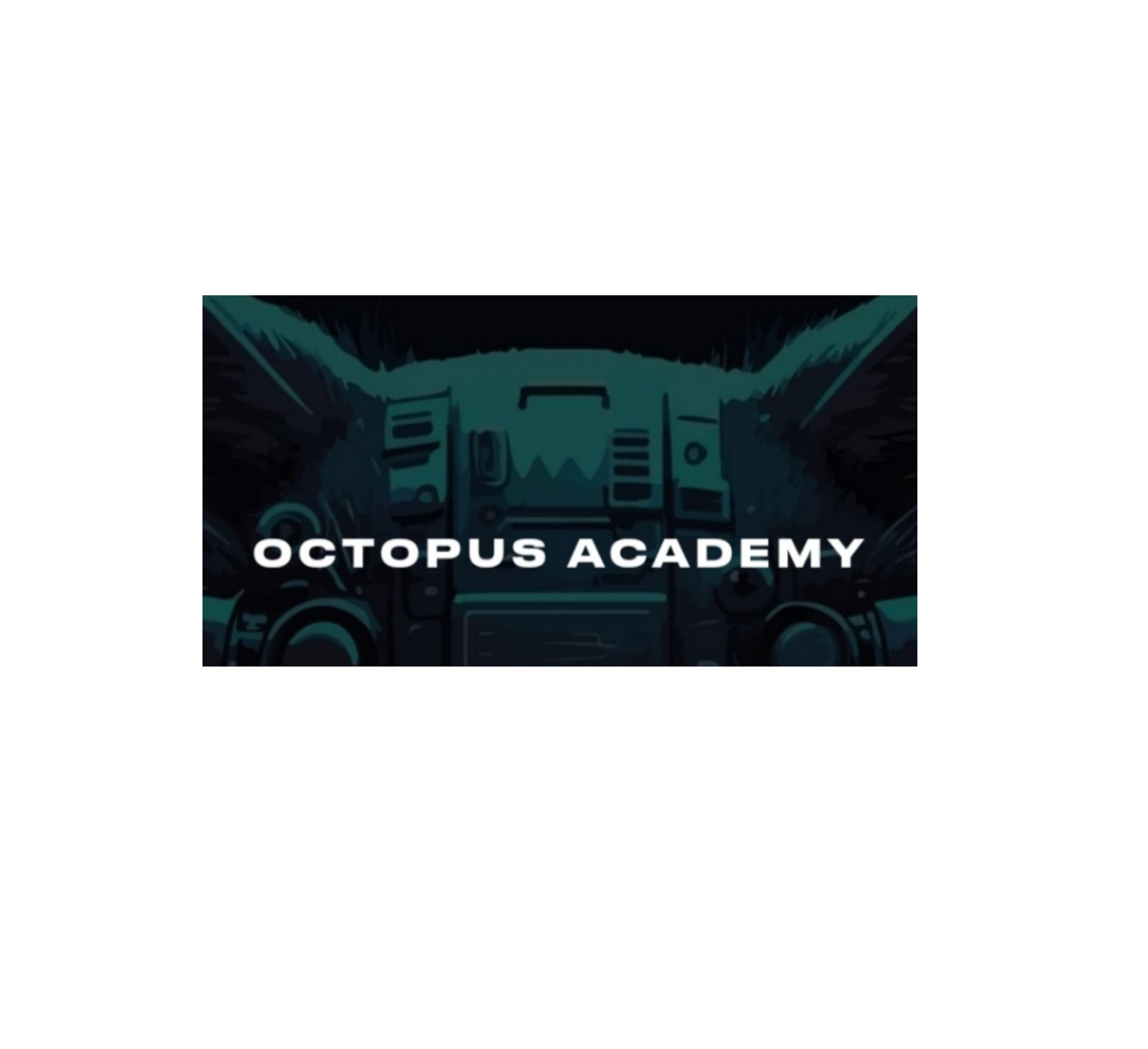 Octopus Academy