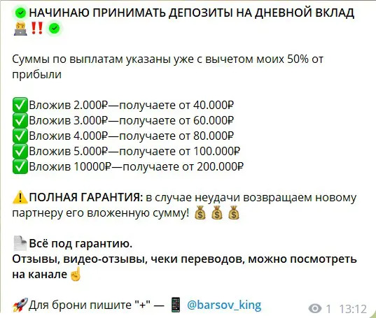 Условия заработка в проекте Barsov Crypto