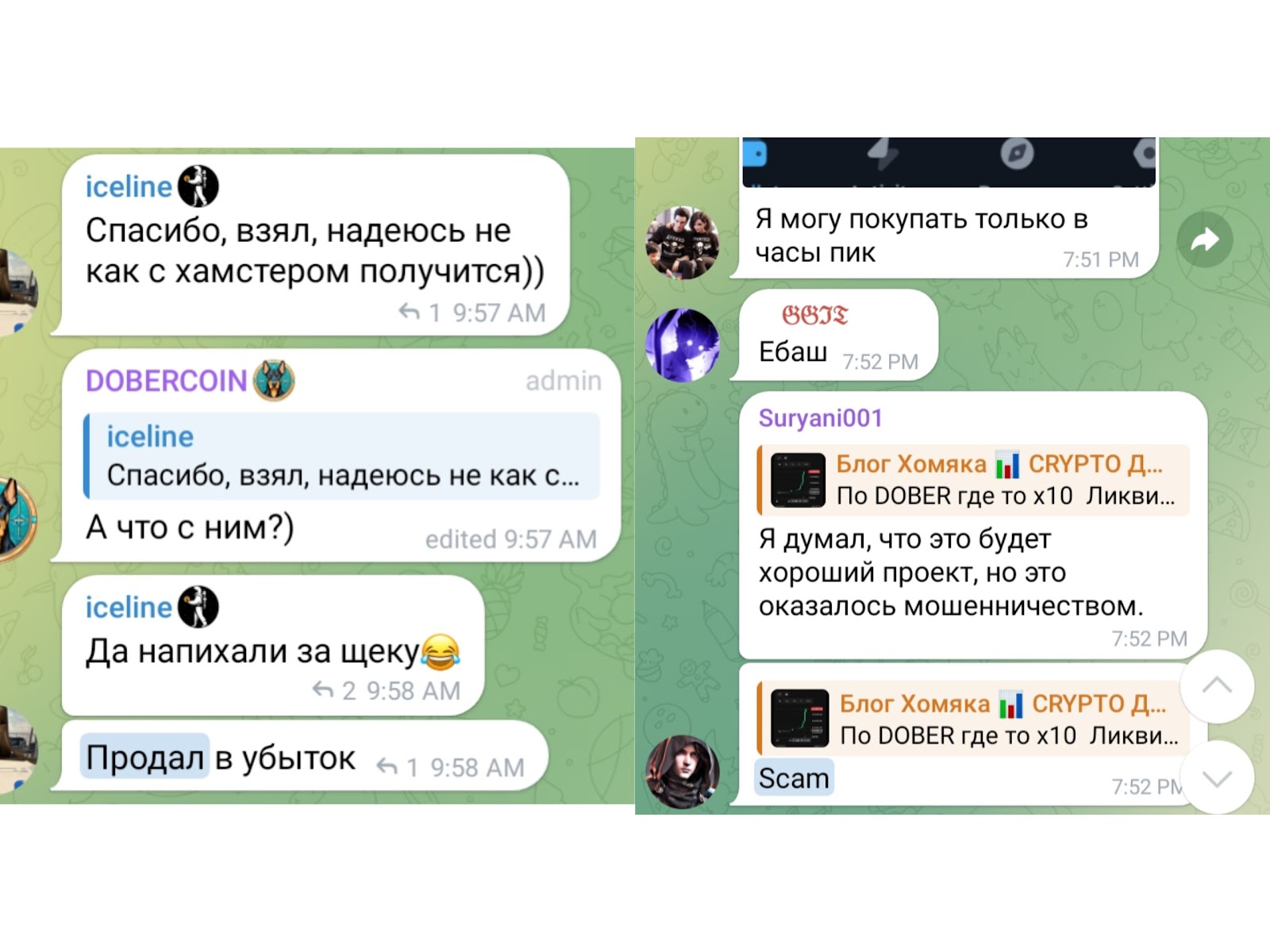 dobercoin отзывы