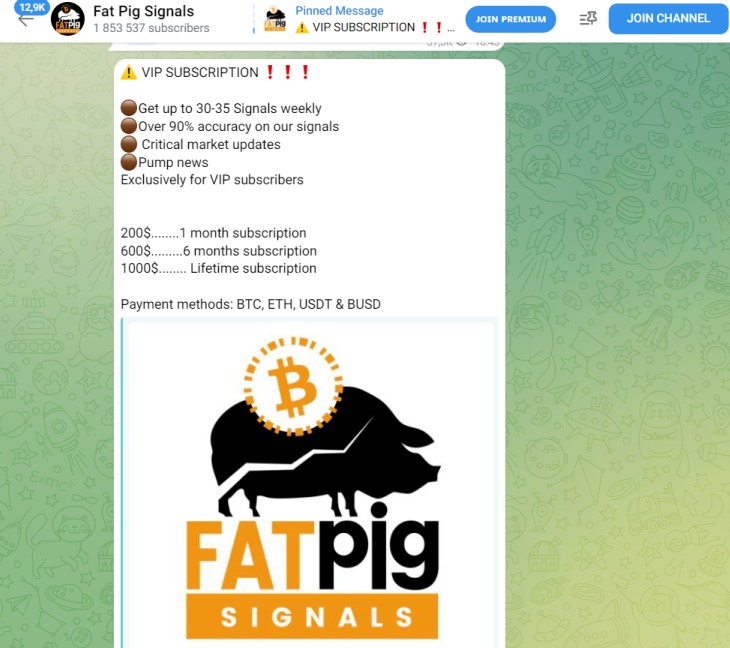 fat pig signals telegram