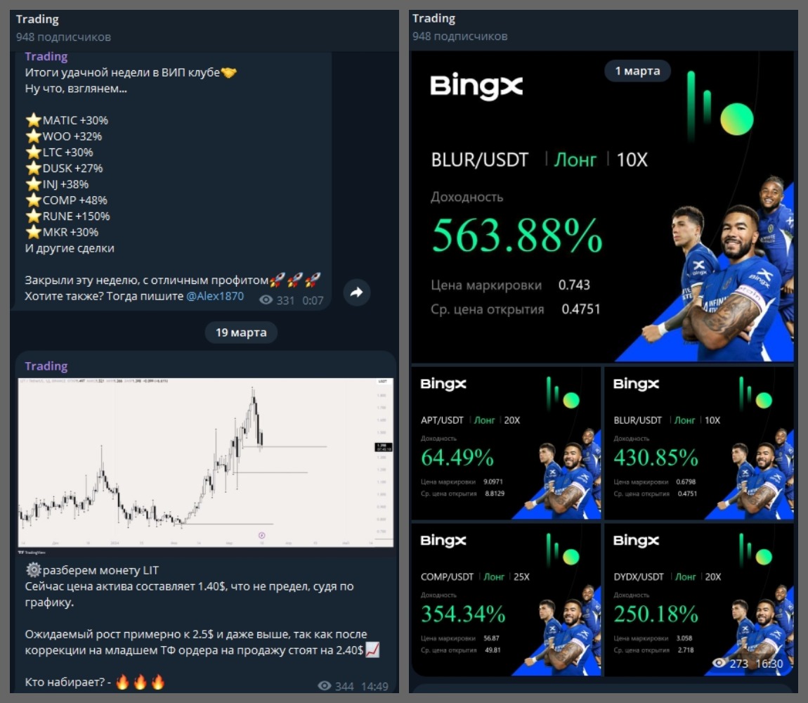 profit otz отзывы