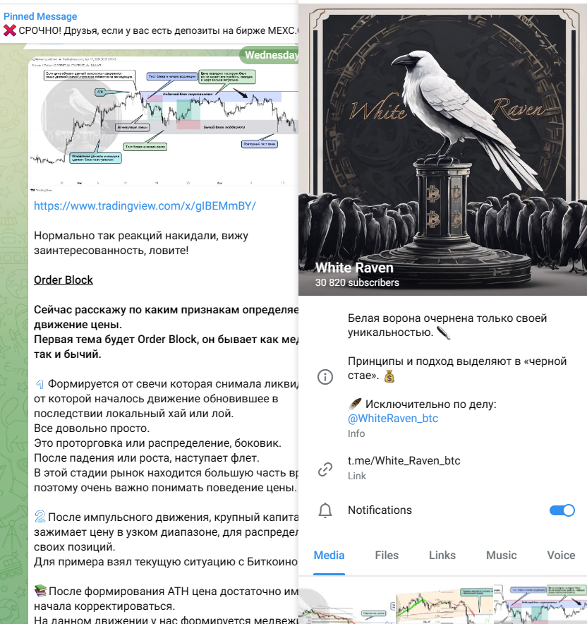 white raven телеграмм