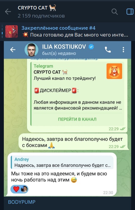 cryptocat отзывы