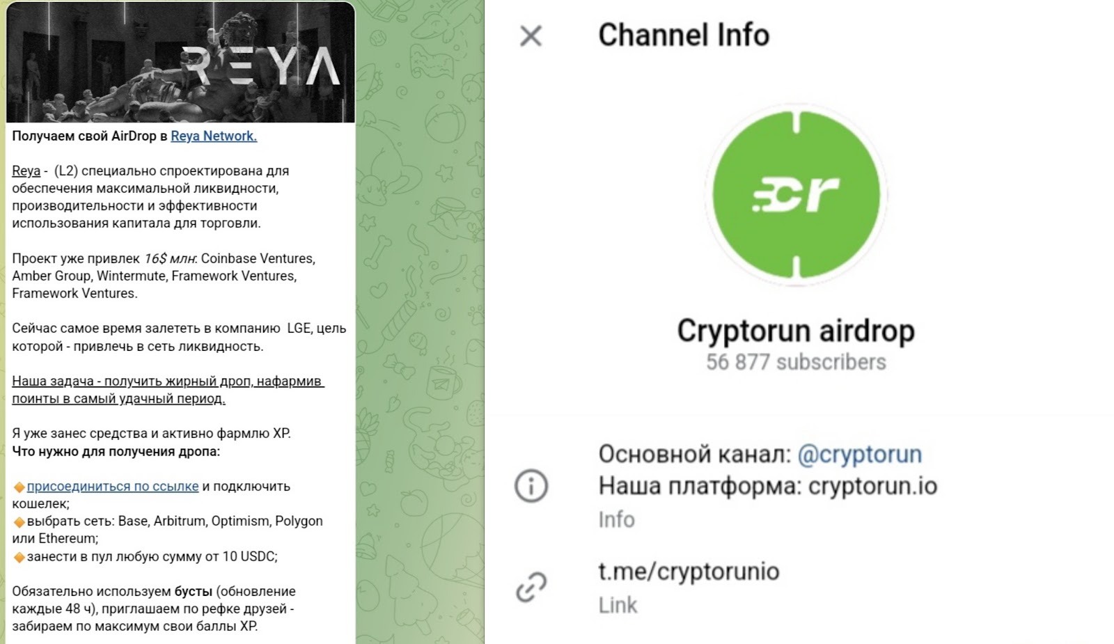 cryptorun io отзывы