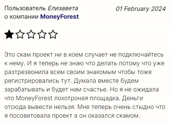 money forest xyz