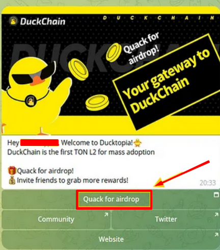 duck chain