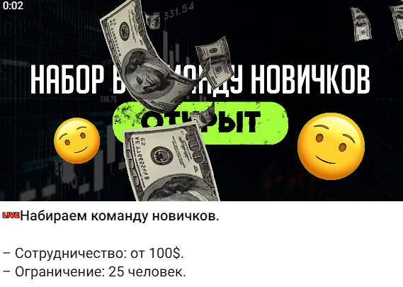 mirrorprofits отзывы